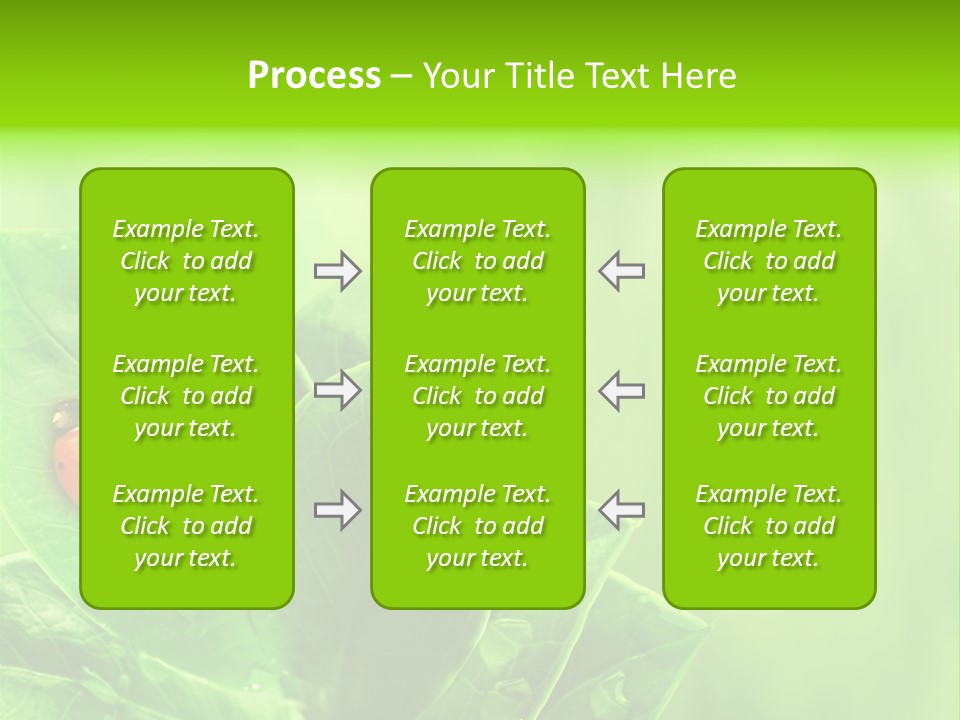 Drop Rain Bug PowerPoint Template
