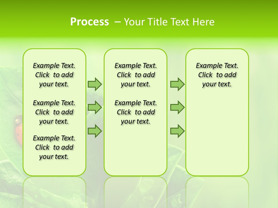 Drop Rain Bug PowerPoint Template