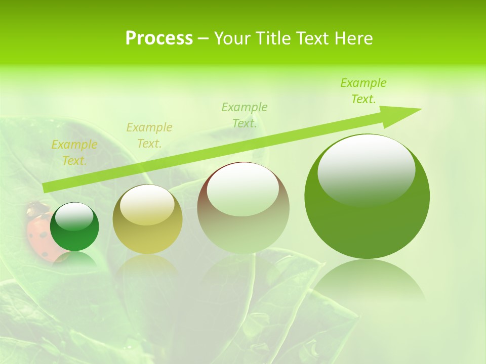 Drop Rain Bug PowerPoint Template