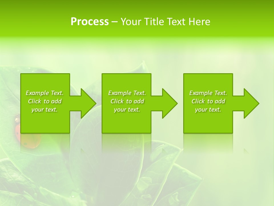 Drop Rain Bug PowerPoint Template