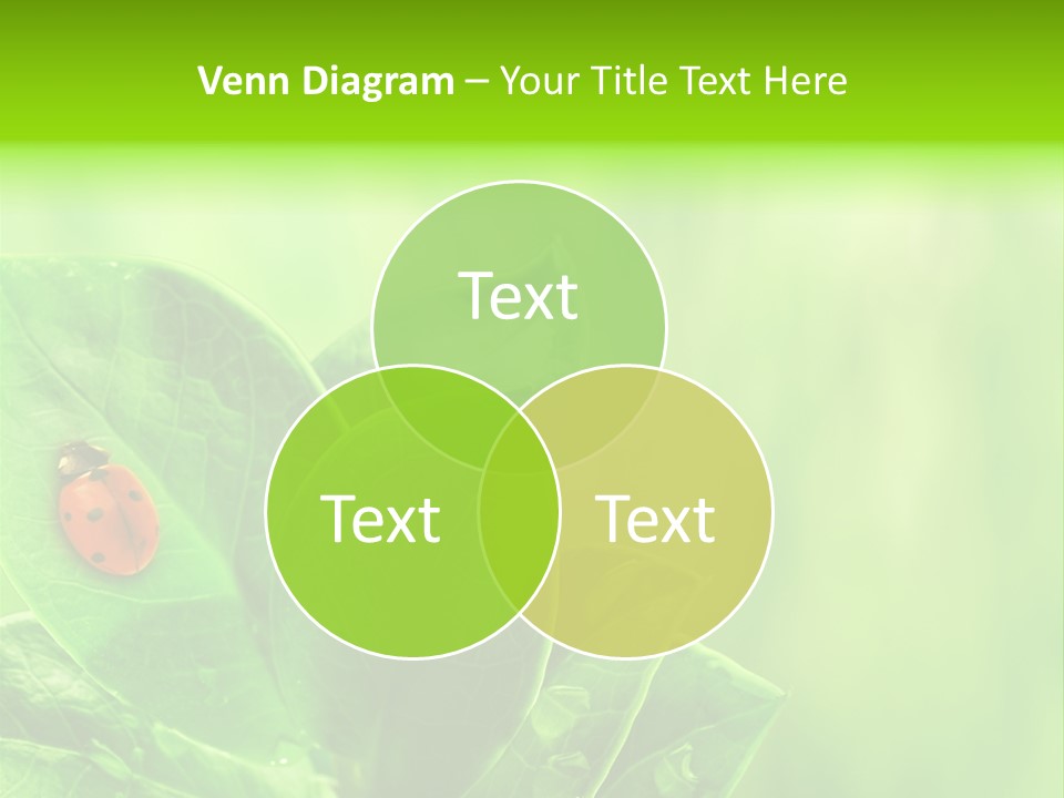 Drop Rain Bug PowerPoint Template