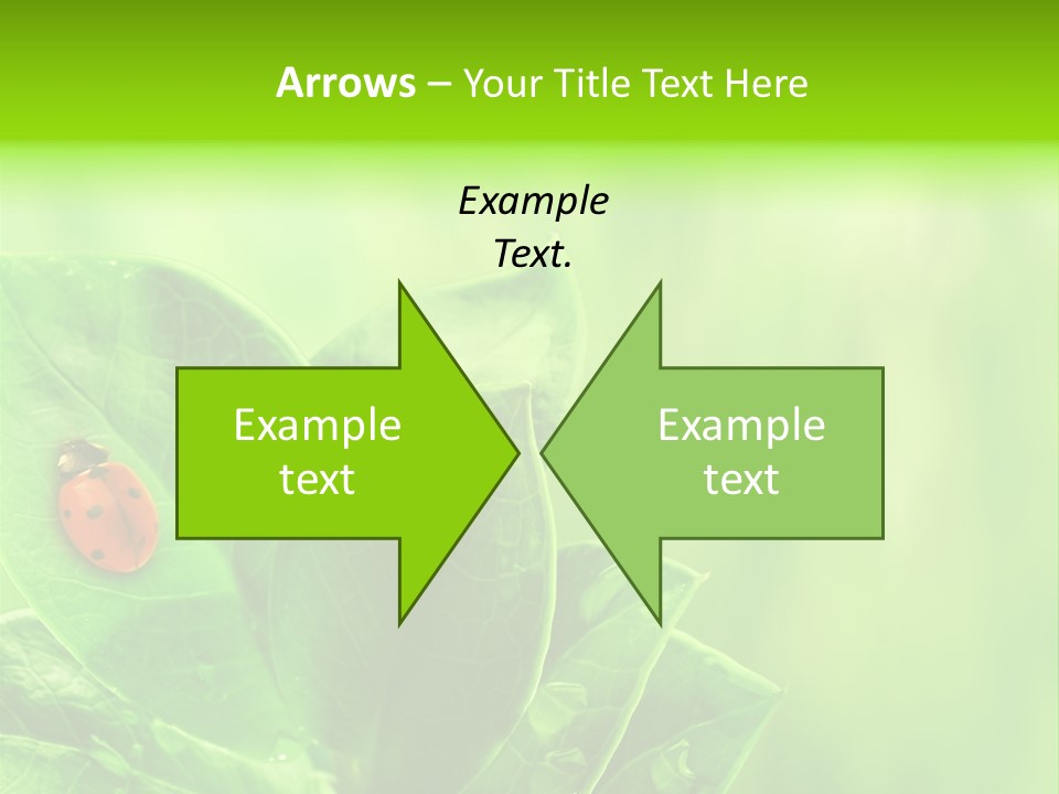 Drop Rain Bug PowerPoint Template