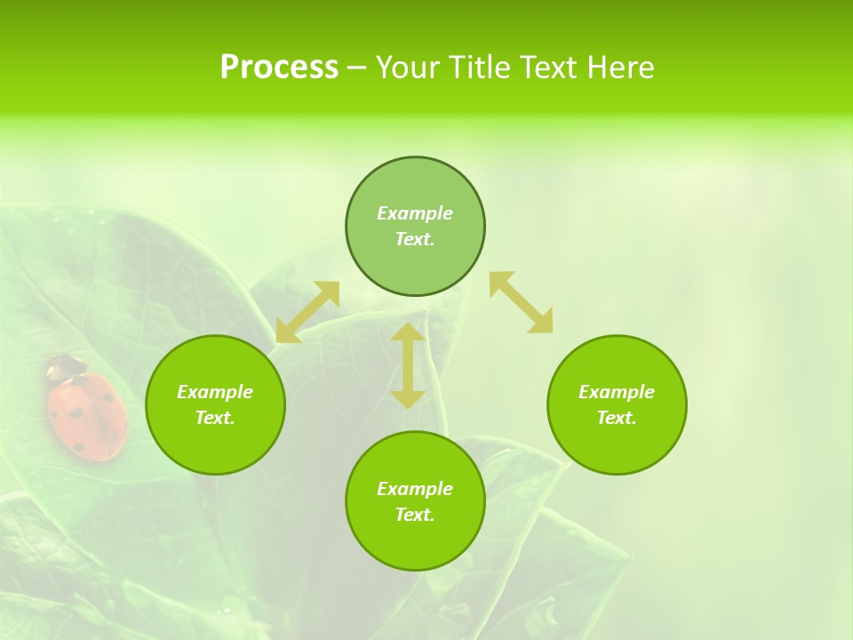 Drop Rain Bug PowerPoint Template