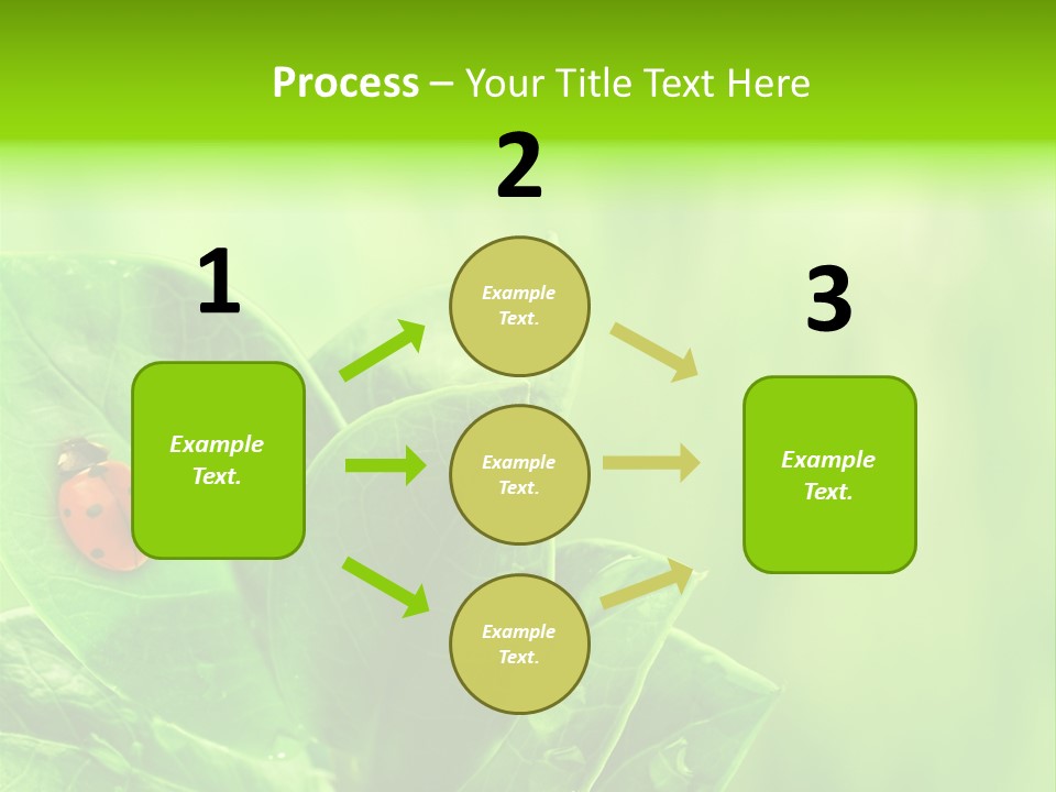 Drop Rain Bug PowerPoint Template