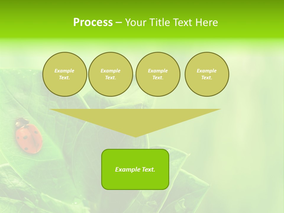 Drop Rain Bug PowerPoint Template