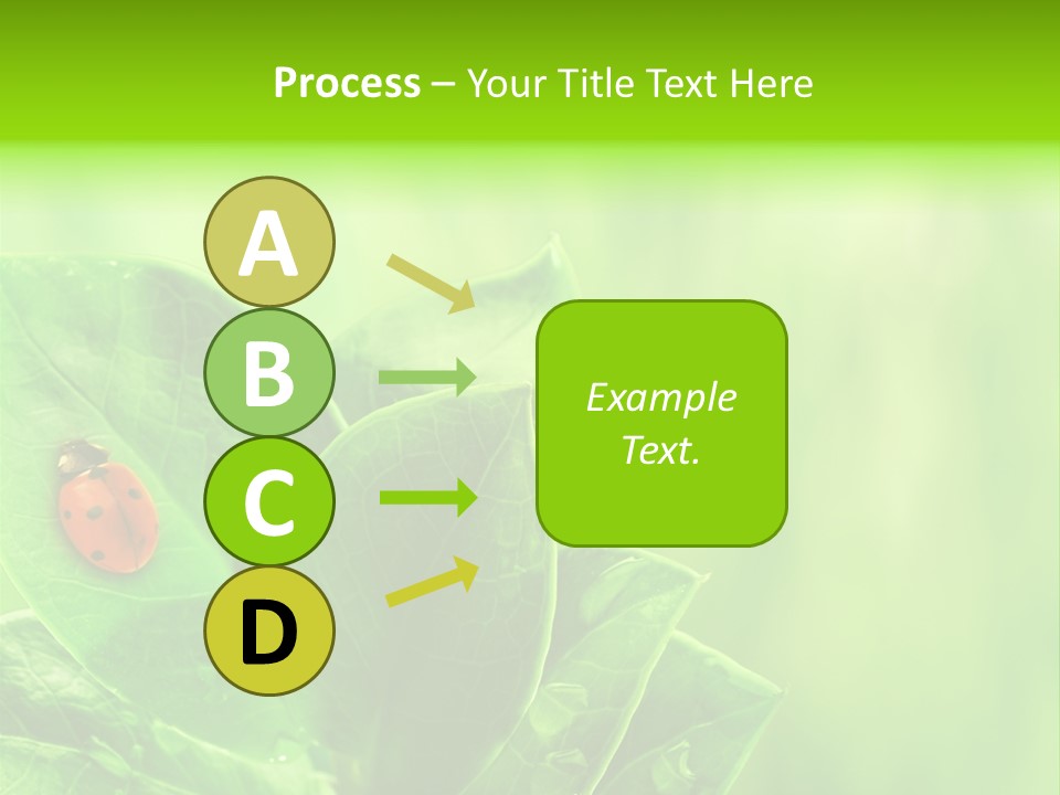 Drop Rain Bug PowerPoint Template
