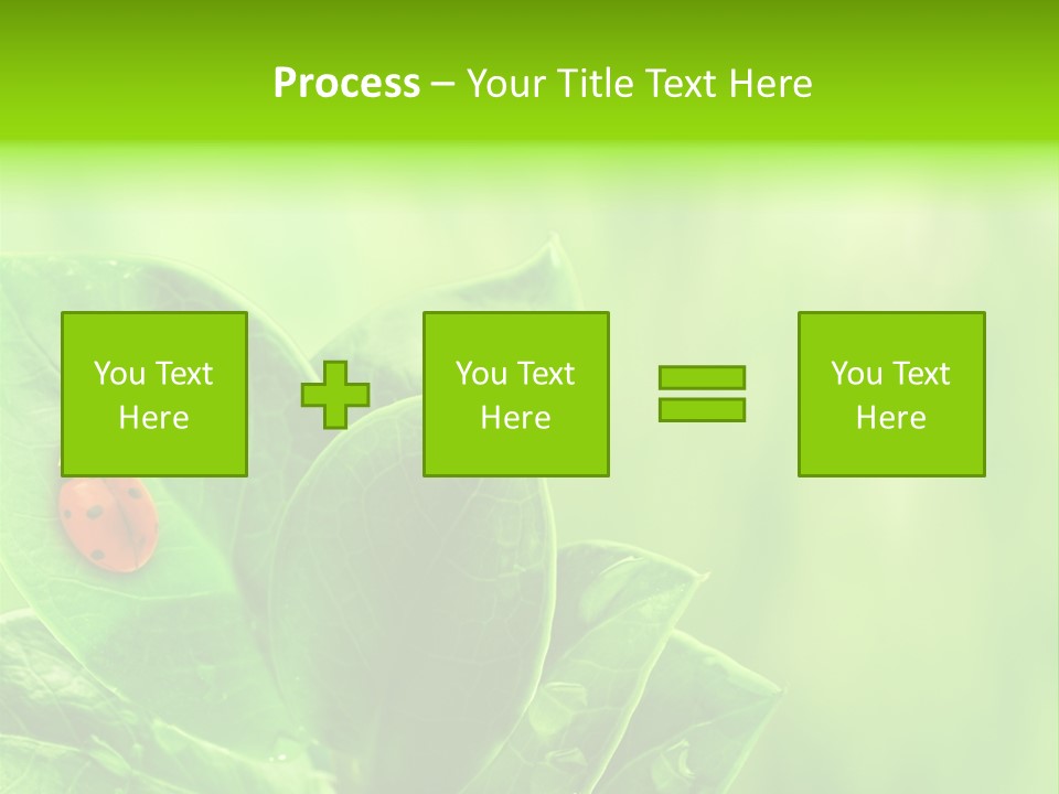 Drop Rain Bug PowerPoint Template