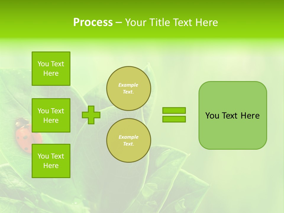 Drop Rain Bug PowerPoint Template