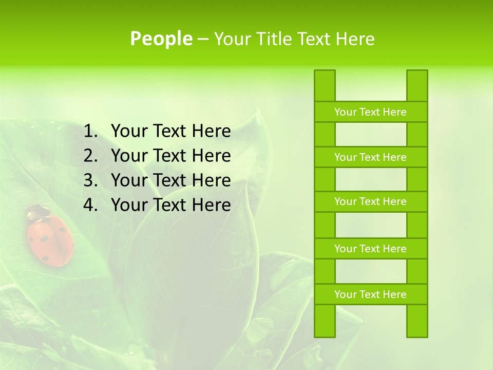 Drop Rain Bug PowerPoint Template