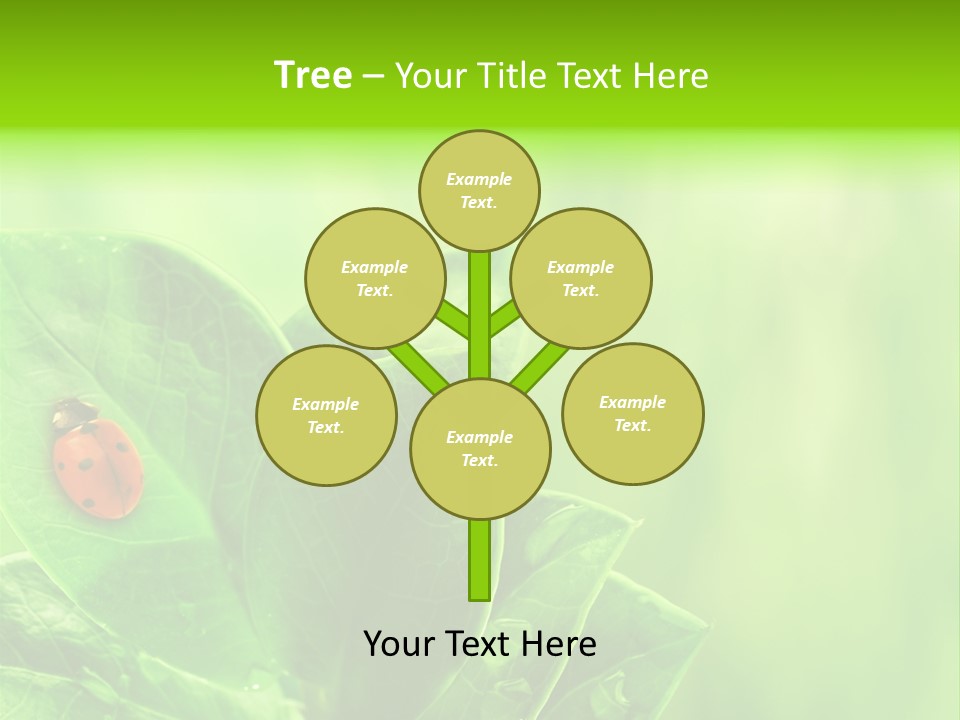 Drop Rain Bug PowerPoint Template
