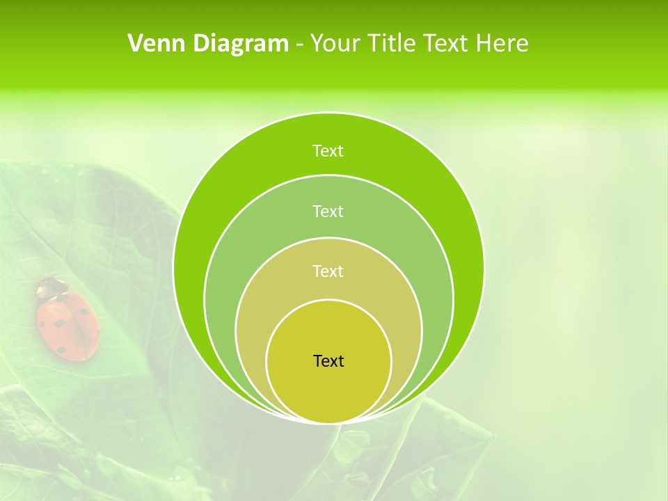 Drop Rain Bug PowerPoint Template