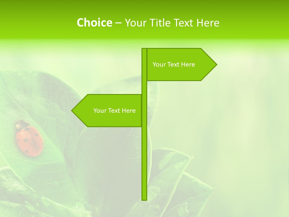 Drop Rain Bug PowerPoint Template