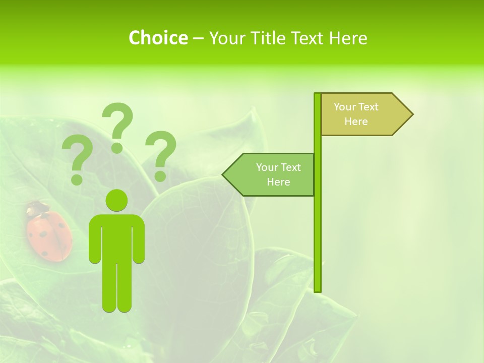 Drop Rain Bug PowerPoint Template