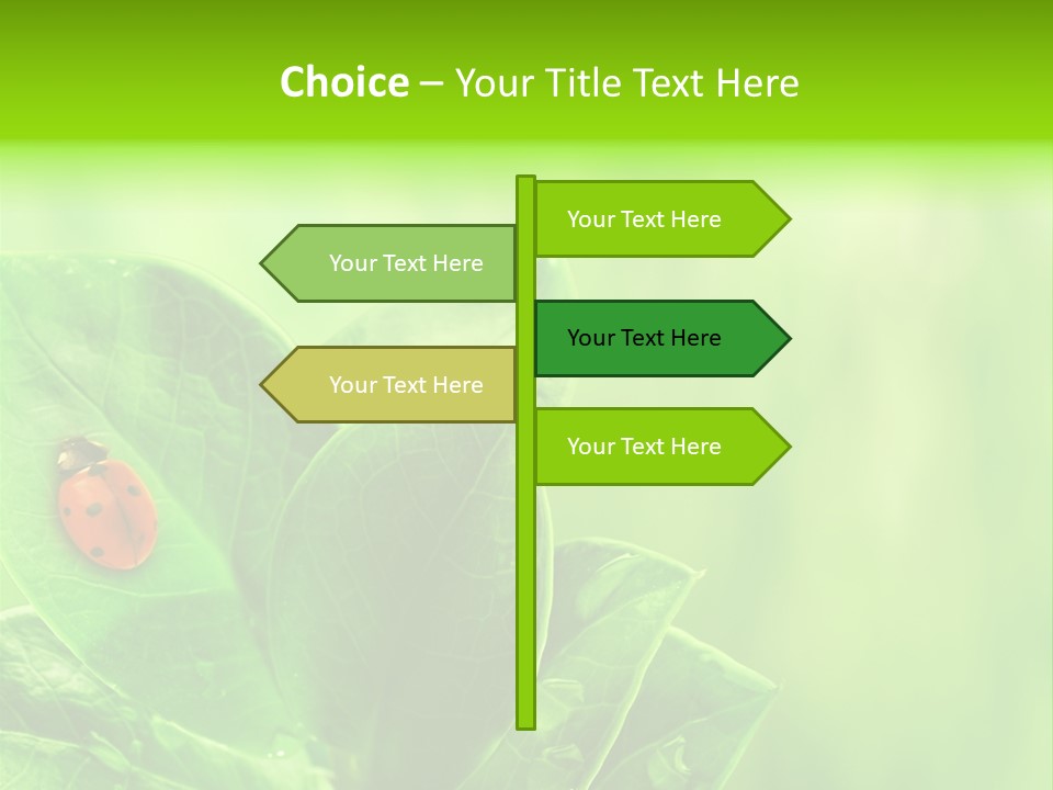 Drop Rain Bug PowerPoint Template