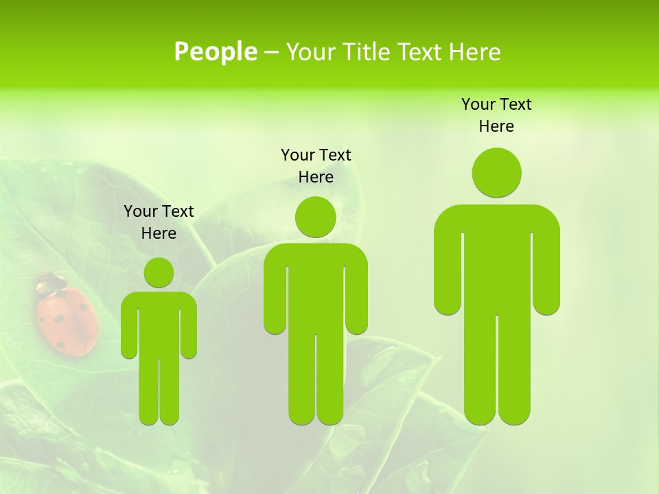 Drop Rain Bug PowerPoint Template