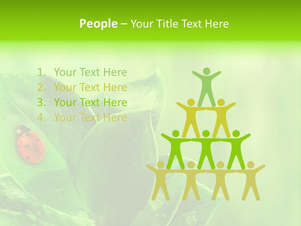 Drop Rain Bug PowerPoint Template