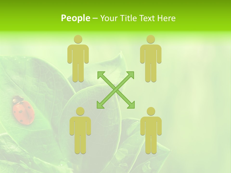 Drop Rain Bug PowerPoint Template