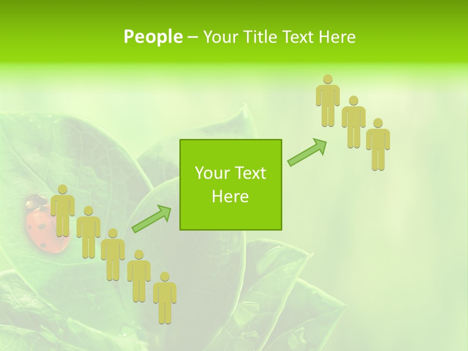 Drop Rain Bug PowerPoint Template