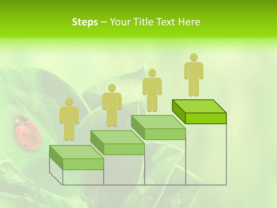 Drop Rain Bug PowerPoint Template