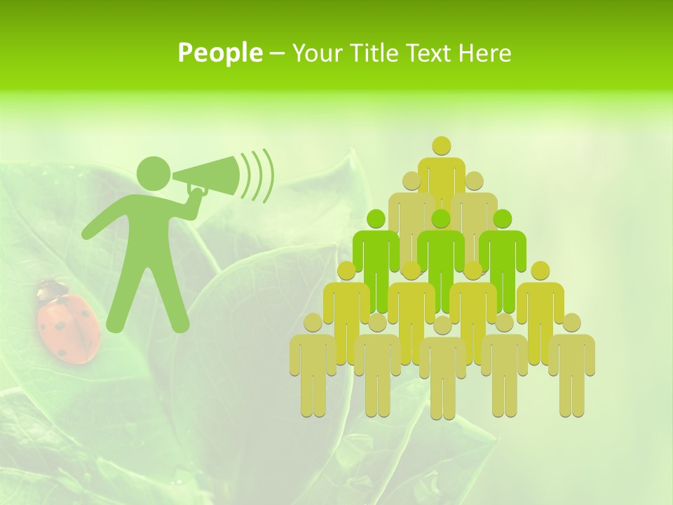 Drop Rain Bug PowerPoint Template