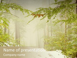 Colorful Scenic Snow PowerPoint Template