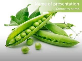 Pod Fresh Green PowerPoint Template
