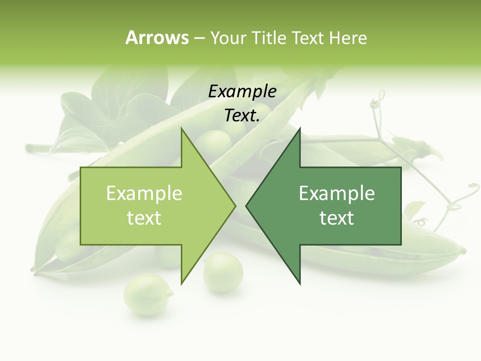 Pod Fresh Green PowerPoint Template