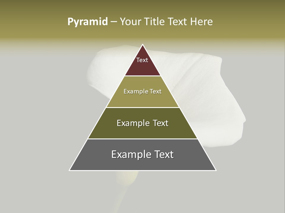 Couple Luxury Invitation PowerPoint Template