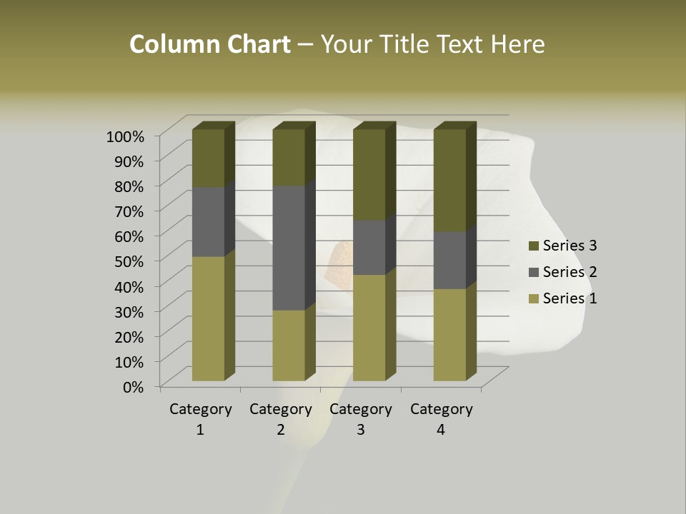 Couple Luxury Invitation PowerPoint Template