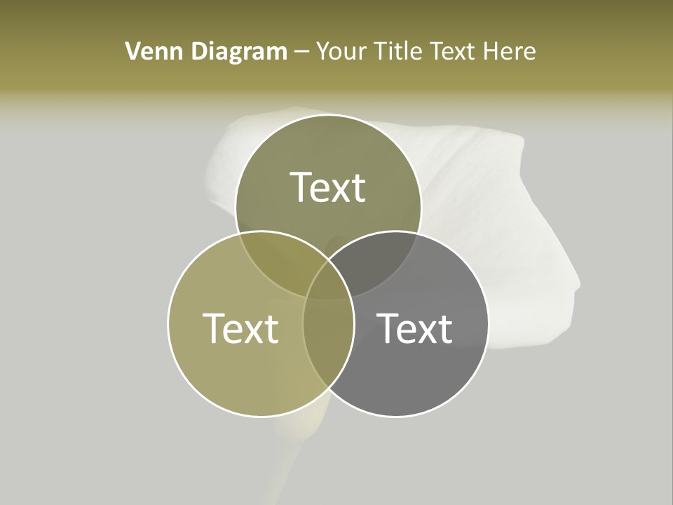 Couple Luxury Invitation PowerPoint Template