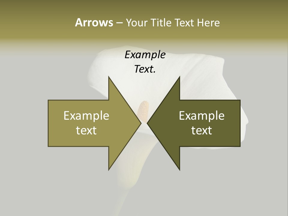 Couple Luxury Invitation PowerPoint Template