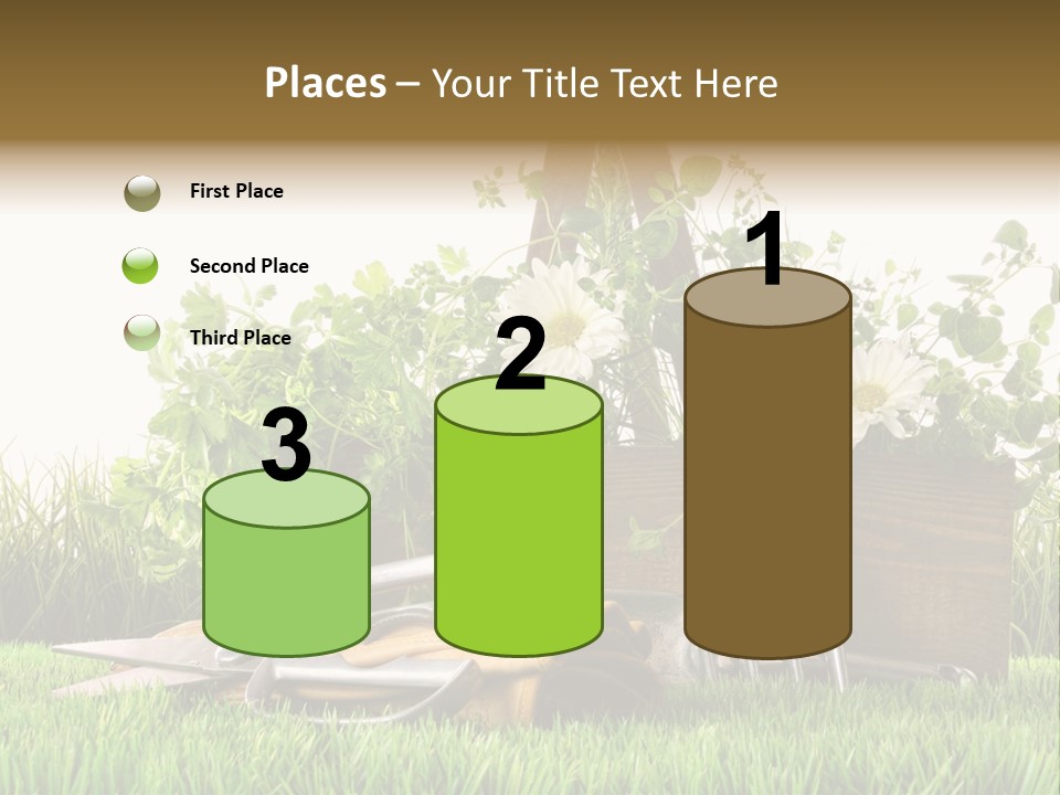 Close Up Grass Daisy PowerPoint Template