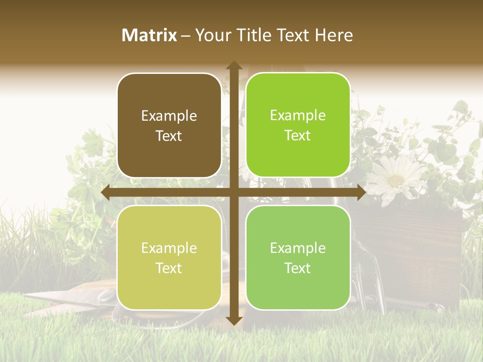Close Up Grass Daisy PowerPoint Template