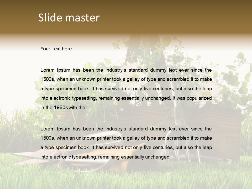 Close Up Grass Daisy PowerPoint Template