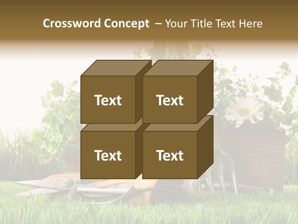 Close Up Grass Daisy PowerPoint Template