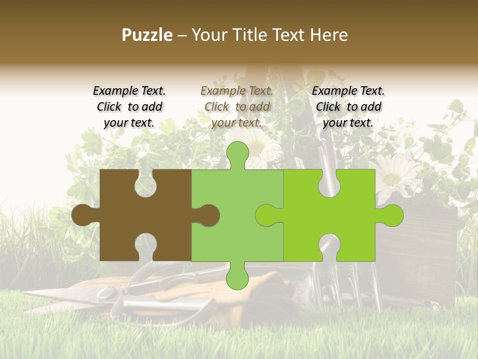 Close Up Grass Daisy PowerPoint Template