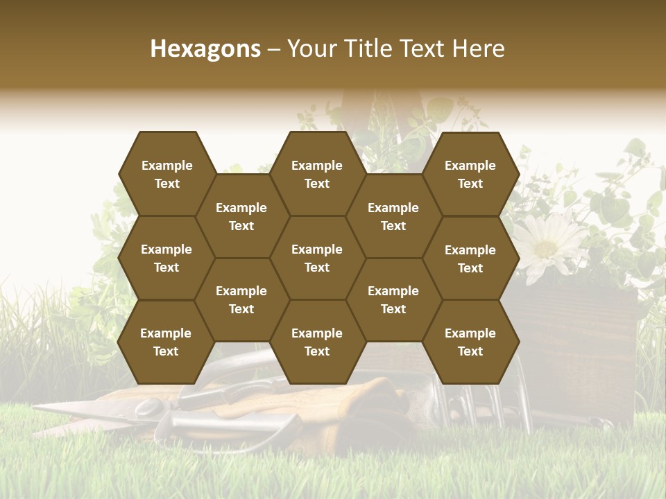 Close Up Grass Daisy PowerPoint Template