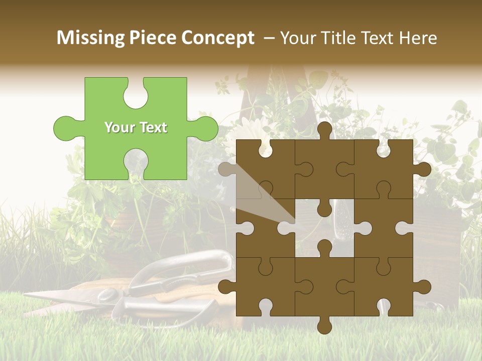 Close Up Grass Daisy PowerPoint Template