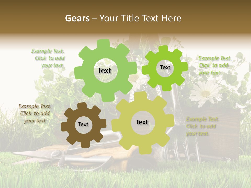 Close Up Grass Daisy PowerPoint Template