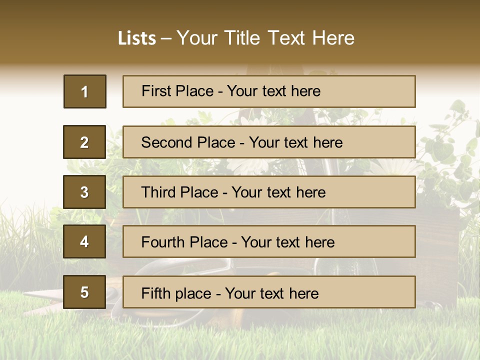 Close Up Grass Daisy PowerPoint Template
