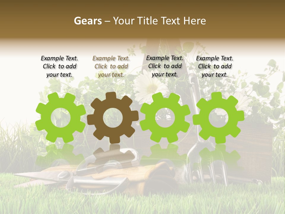 Close Up Grass Daisy PowerPoint Template