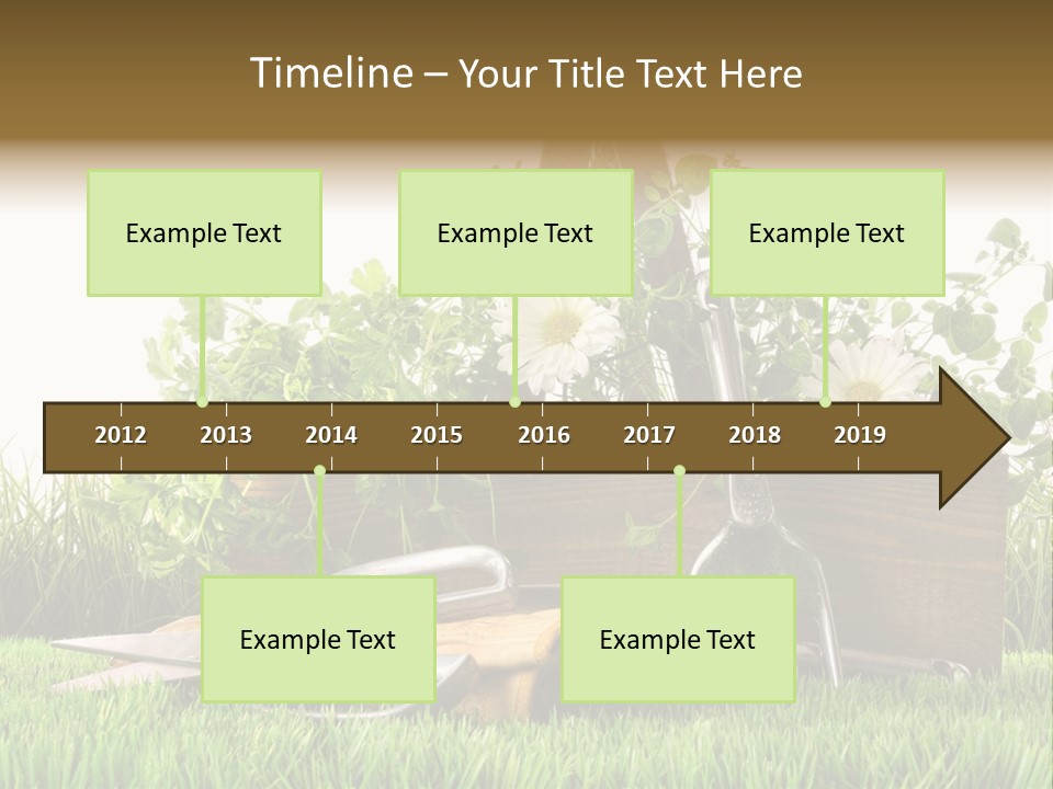 Close Up Grass Daisy PowerPoint Template