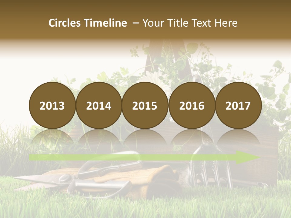 Close Up Grass Daisy PowerPoint Template