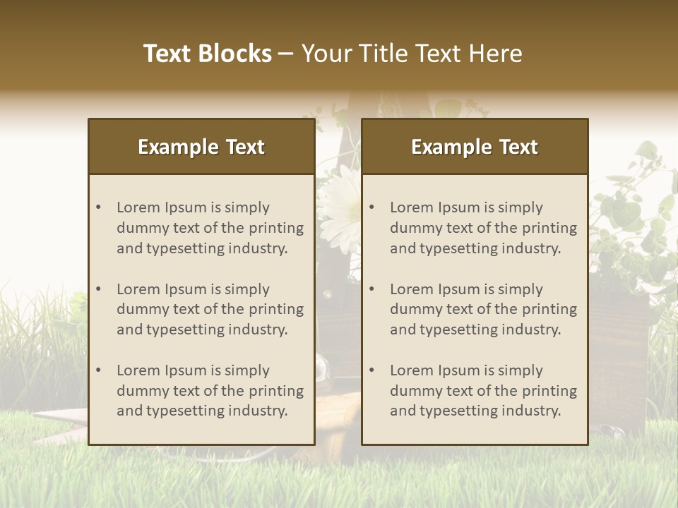 Close Up Grass Daisy PowerPoint Template