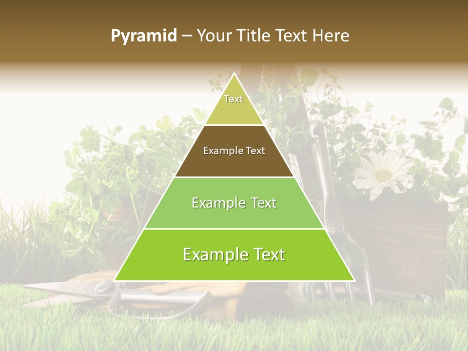 Close Up Grass Daisy PowerPoint Template