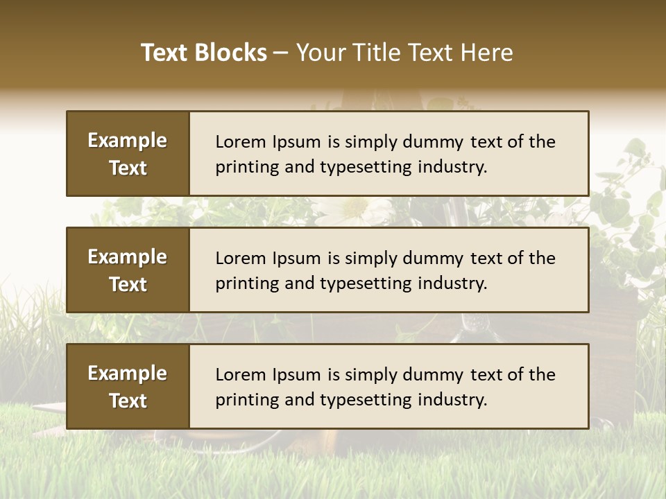 Close Up Grass Daisy PowerPoint Template