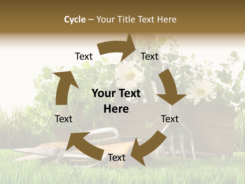 Close Up Grass Daisy PowerPoint Template