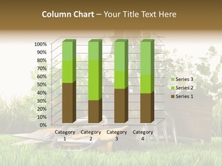 Close Up Grass Daisy PowerPoint Template