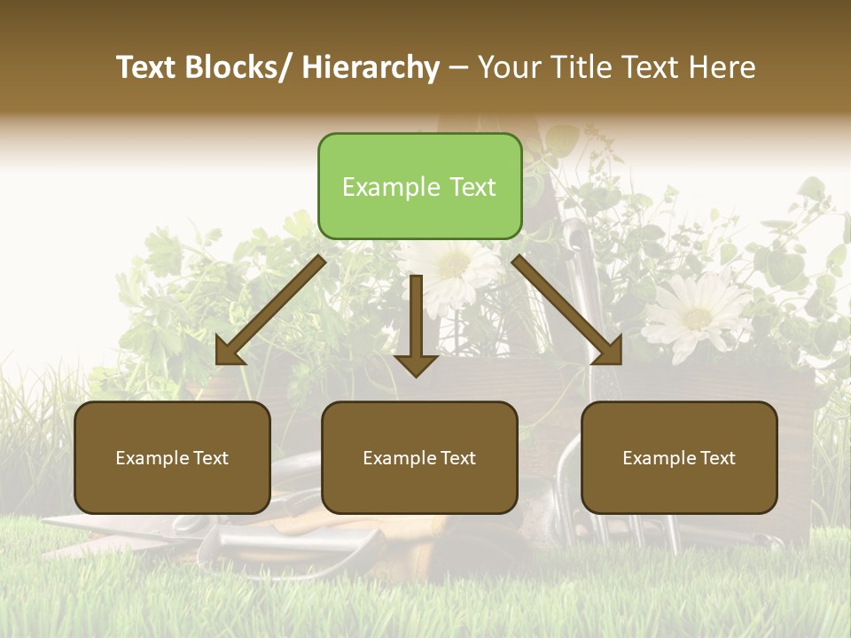 Close Up Grass Daisy PowerPoint Template