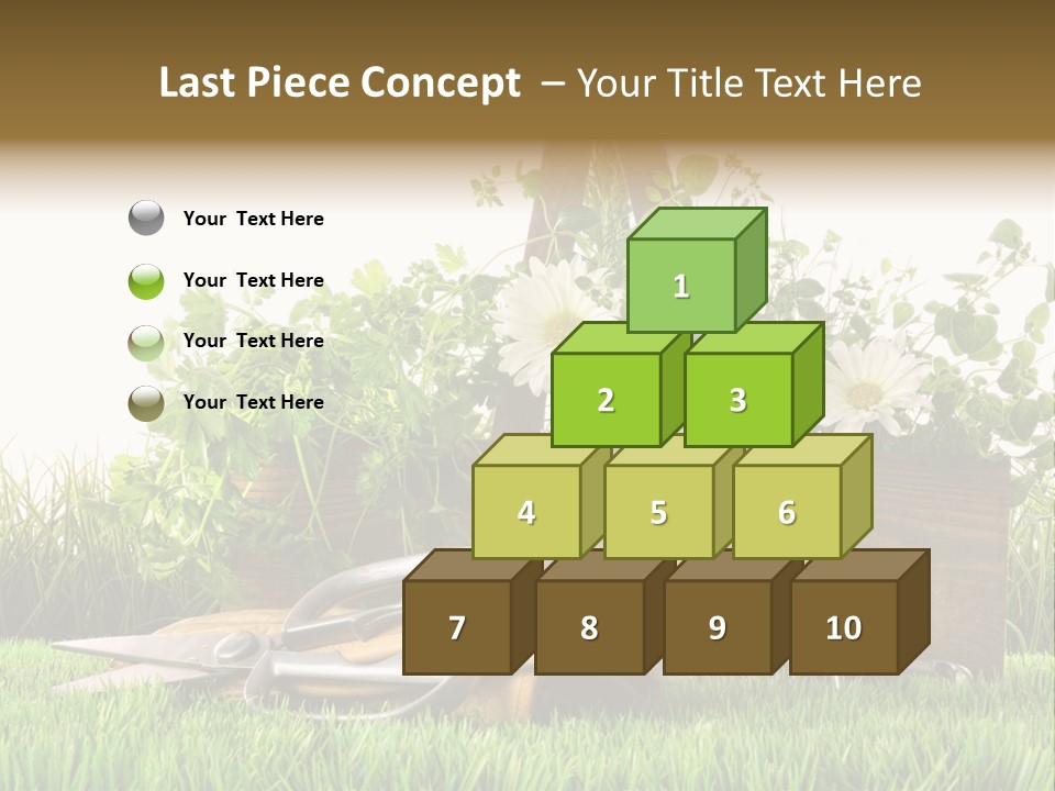 Close Up Grass Daisy PowerPoint Template